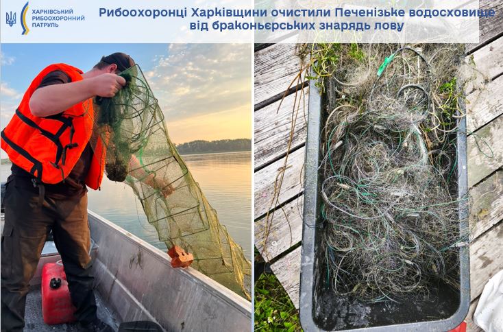 Новини Харкова: Печенізьке водосховище очистили від сіток